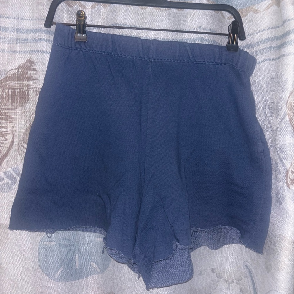 Aerie Soft Blue Shorts